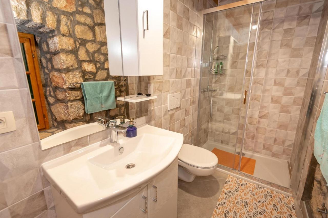 Villa Lazini Dvori Stasevica Bagian luar foto